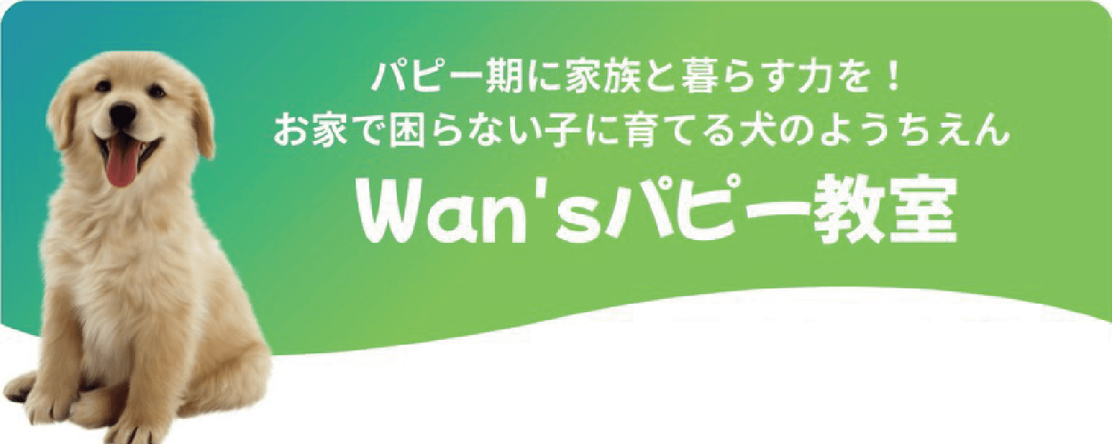 Wan's パピー教室
